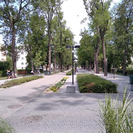 Apartament Zdroj Busko-Zdrój Exteriér fotografie